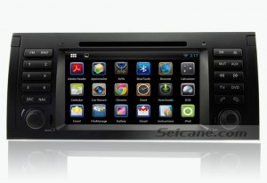 BMW X5 E53 DVD Player 